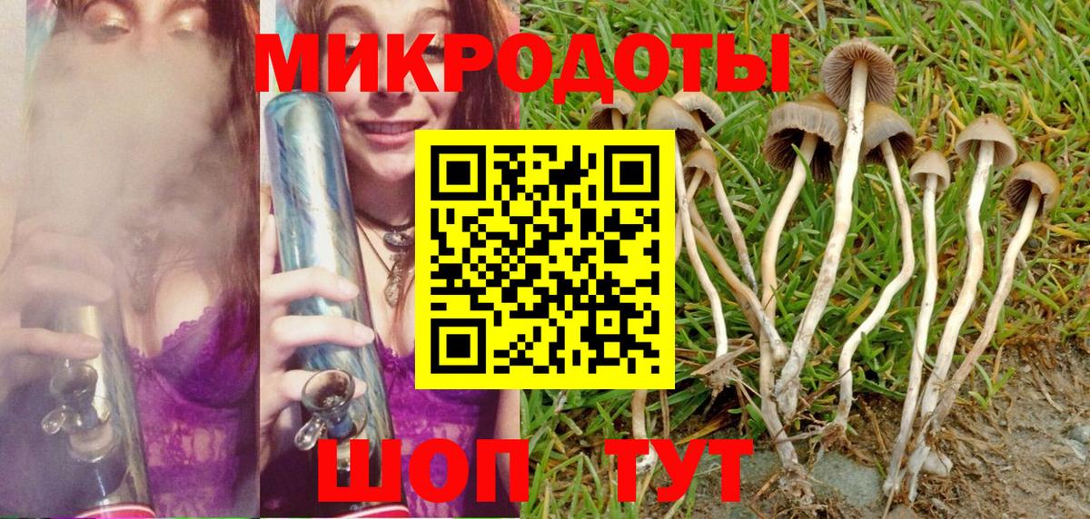 Псилоцибиновые грибы прущие грибы  Галлюциногенные грибы Psilocybe  Вход с VPN  Крымск 