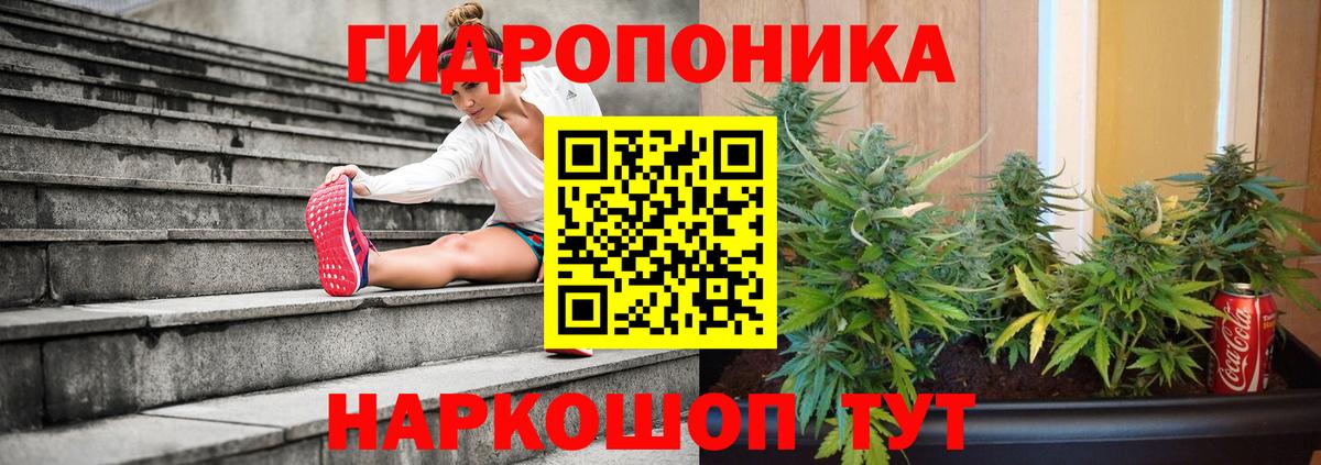 МАРИХУАНА конопля  Шишки марихуана ГИДРОПОН  Крымск  Вход с VPN  Марихуана конопля 